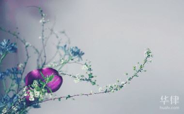 維權(quán)流程